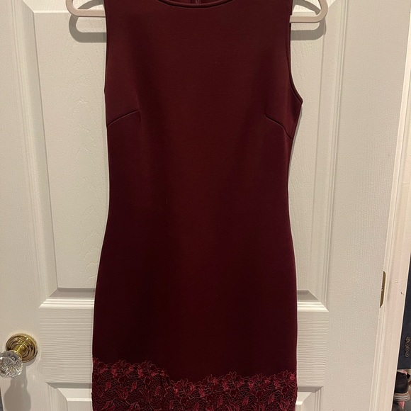 Reiss Womens Issy Floral Lace Neoprene Mini Dress Red Size 6 - Picture 4 of 6